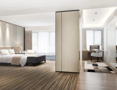 3d-rendering-luxury-modern-bedroom-suite-tv-with-wardrobe-walk-closet_105762-1941
